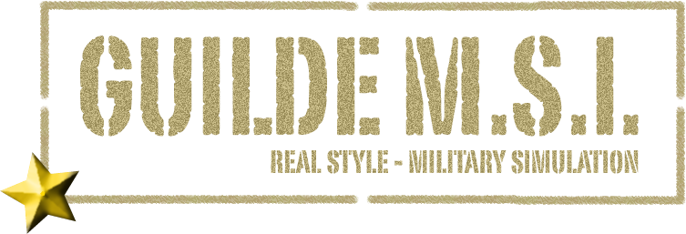 Guilde MilSim Isarienne
